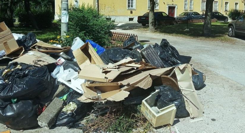 Az illegális hulladéklerakás megszüntetéséért dolgoznak Pesterzsébet ellenzéki politikusai