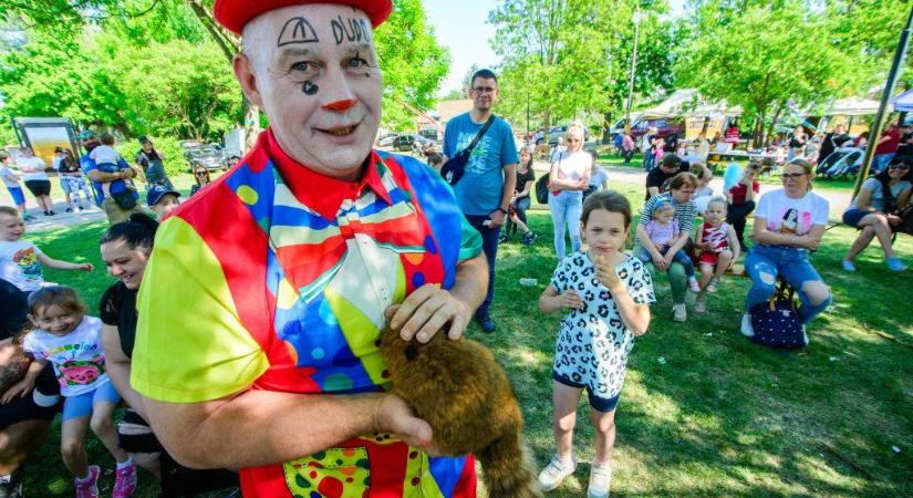 Lurkó Sziget Fesztivál és Családi Majális – Mozgás, móka és közösségi élmény Hevesen – fotókkal