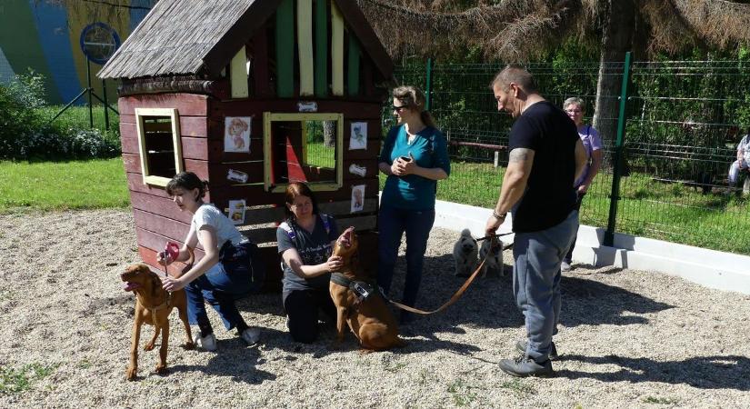 Kutyajó dolga lesz mostantól a házi kedvenceknek Bácsalmáson – galériával