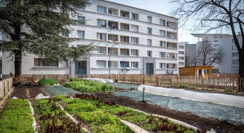 Kertész ismerősöm kikotyogta a titkot: innen tudhatod, hogy jó vízáteresztő a talajod