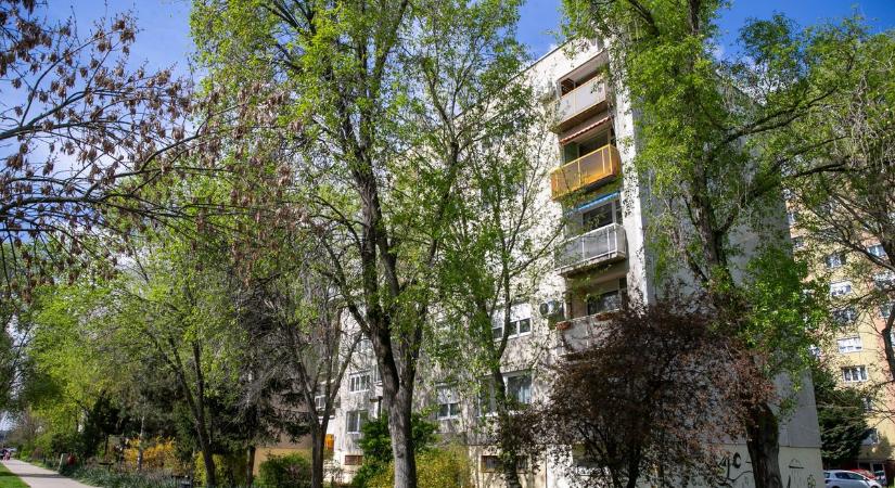 Fellélegezhetnek a társasházak, értő fülekre talált a szakmai szervezetek kérése