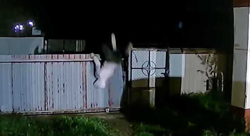 Filmbe illőt szaltót villantott a tiszaburai betörő, aki Pókembernek képzelte magát