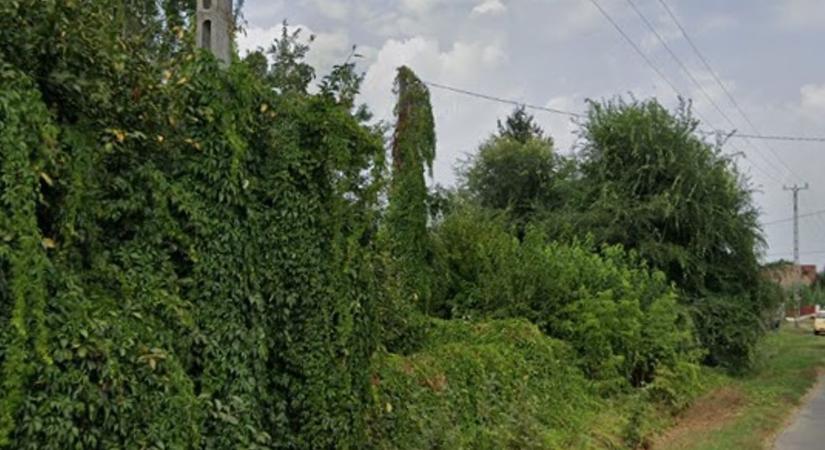 Azt hitték, titokban csinálják, de levideózták a bedőbokori bűnbeesőket!