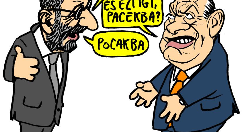 A brüsszeli pacák