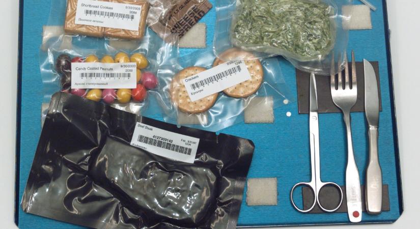 Nyomtatott marhasült, kémcsőben készült krumplipürével – ilyen lesz a jövő űrkonyhája