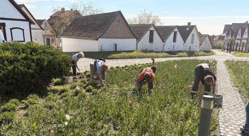 Kíváncsi rá, mitől rendezett a város? Egy napig bárki csatlakozhat a parkfenntartókhoz