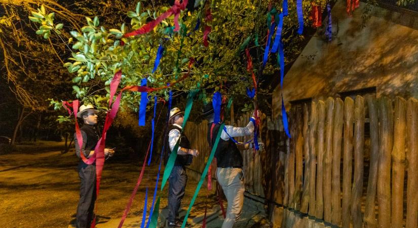 Lakótelepi májusfa, féldecis díszítéssel – él még a remény