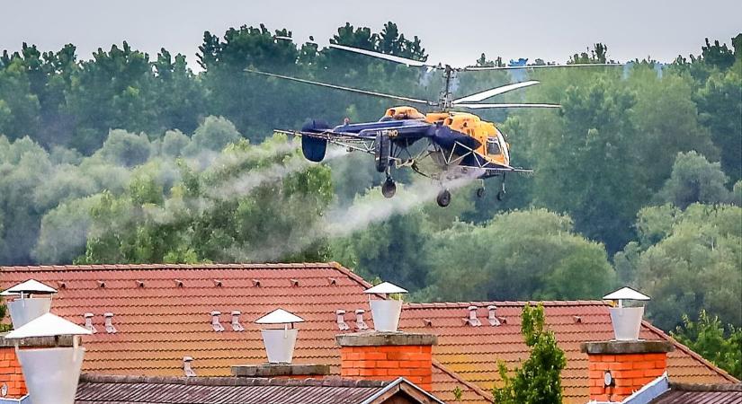 Szokatlanul korán jelentek meg a szúnyogok