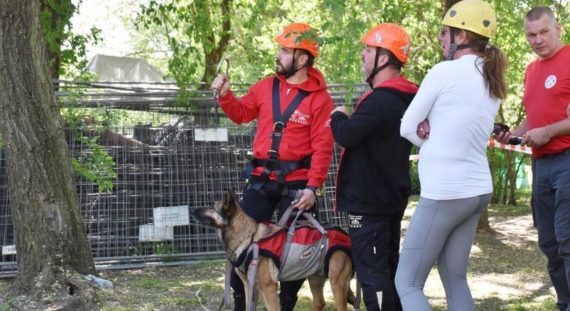 Szörnyű légi katasztrófához riasztották a jászberényi mentőkutyásokat
