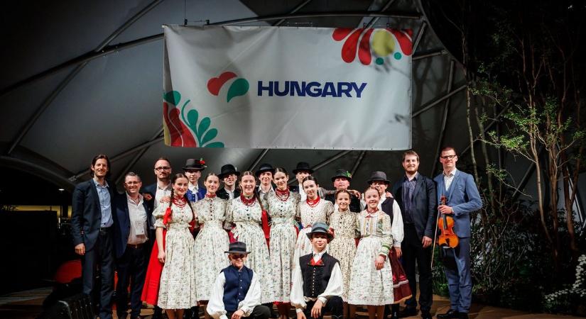 Szekszárdi tehetség Japánban: Nyemcsok Máté oszakai élményei