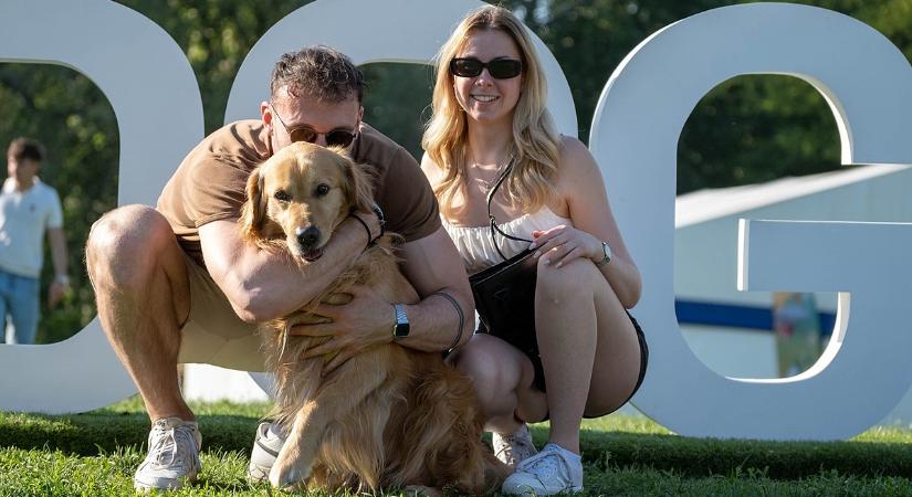 Hatalmas durranás: több mint 10 ezer ember ünnepelte a kutyás életformát a DOGZ fesztiválon