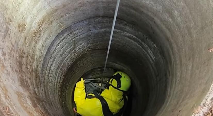 Lelőtt kutyákat dobtak egy illegális dögkútba Nyíradonyban