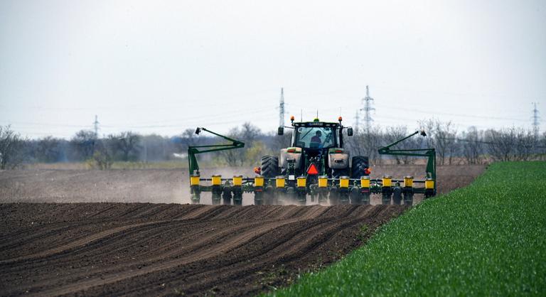Akkora a talajvízhiány, hogy a porba vetik el a magot a gazdák az Alföldön