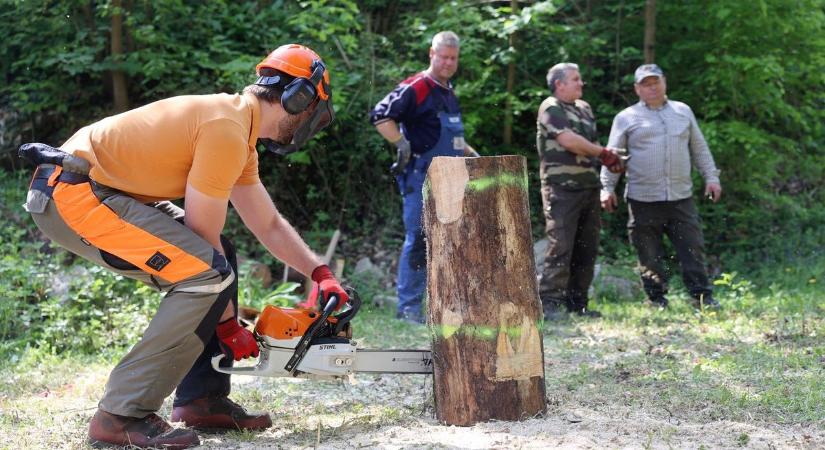 Garadnán versenyeztek a legjobb favágók - fotók, videók
