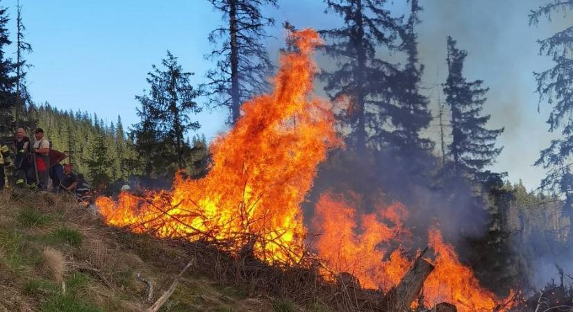 Hargita megye: három hektáron ég a száraz növényzet az Egyes-kő közelében