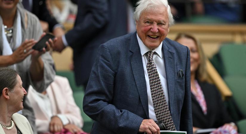 David Attenborough: Ha megmentjük az óceánt, megmentjük a világunkat. Biztos vagyok benne, hogy ennél semmi nem fontosabb
