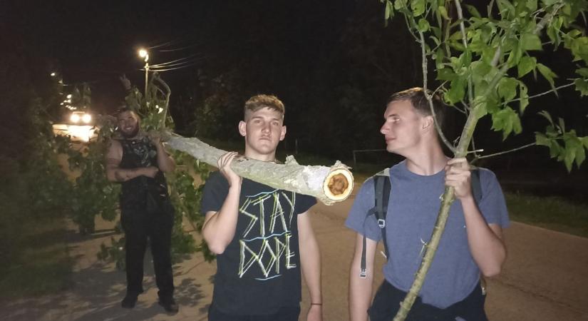 Májusfákat állítottak a kisapostagi legények