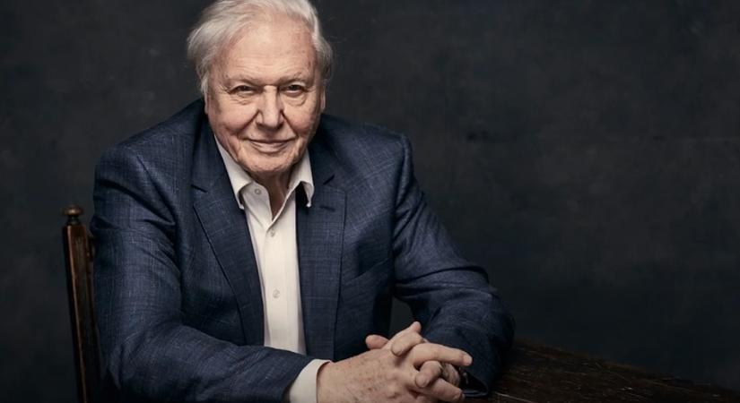 Óceán – A 99 éves Attenborough új filmje