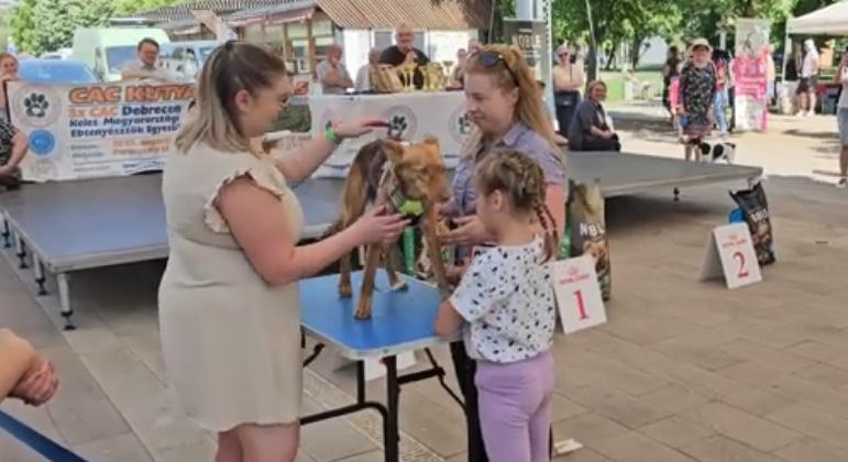 A kutyákról szólt a hosszú hétvége szombatja Hajdúszoboszlón – videók