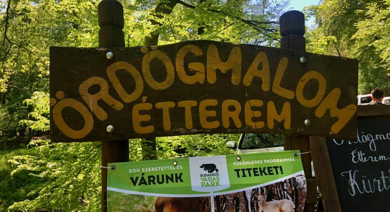 Rémes röszti és gumis bőrű szlovák pisztráng a visegrádi Ördögmalomban
