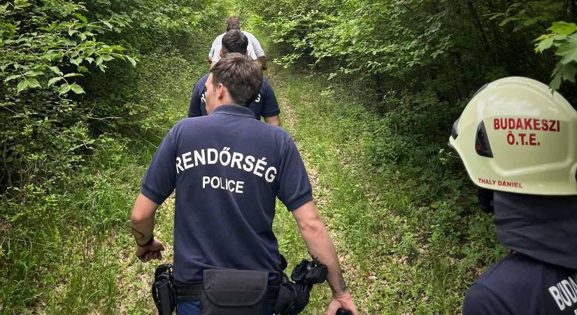 Rémálommá vált a kirándulás a telki erdőben – riasztani kellett a tűzoltókat és a mentőket