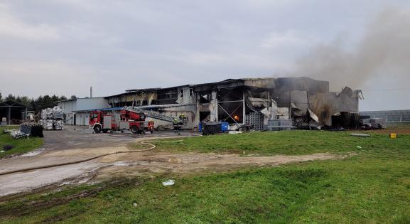Az életéért küzd az ország legnagyobb gesztenyefeldolgozója