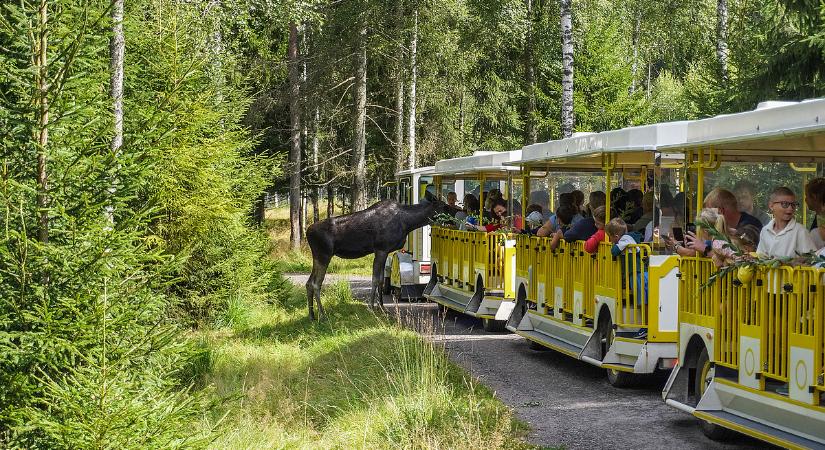 Ide mennek nyaralni idén az emberek az elviselhetetlen nyár miatt