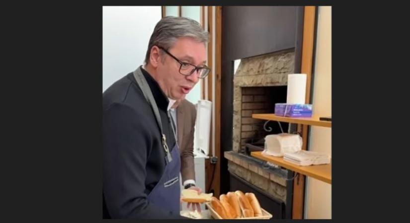 Azt kéri egy ügyvéd, hogy fosszák meg Aleksandar Vučićot a cselekvőképességétől