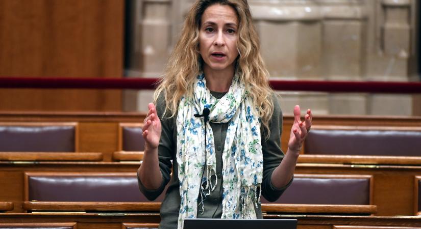 Szabó Rebeka: Nincsen fideszes erdő, tiszás erdő, ellenzéki erdő