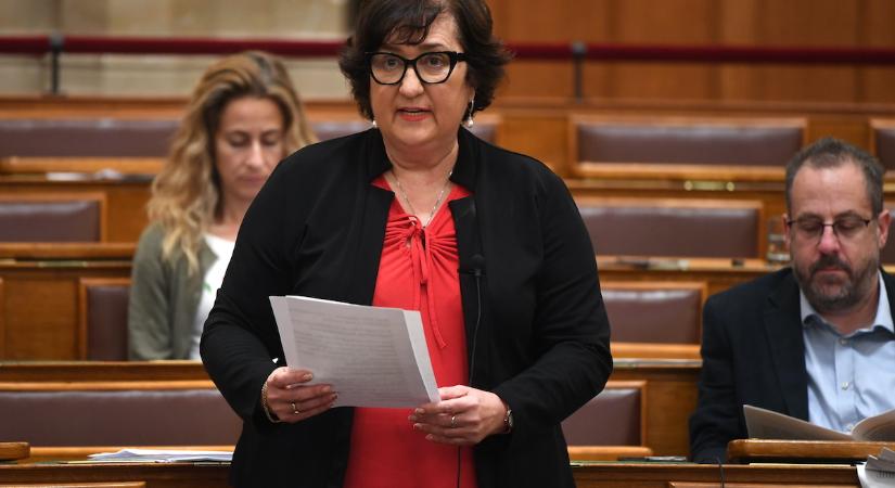 „Haszontalan hungarikum” – Gurmai Zitát Márki-Zay Péter szavaira emlékeztették