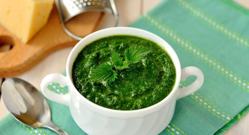 Sokan félnek tőle, közben csodaszer! Íme néhány tipp a csalán felhasználásához!