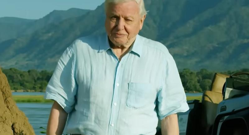 Nem akárhogy ünnepli a majdnem százéves David Attenborough-t a BBC Earth