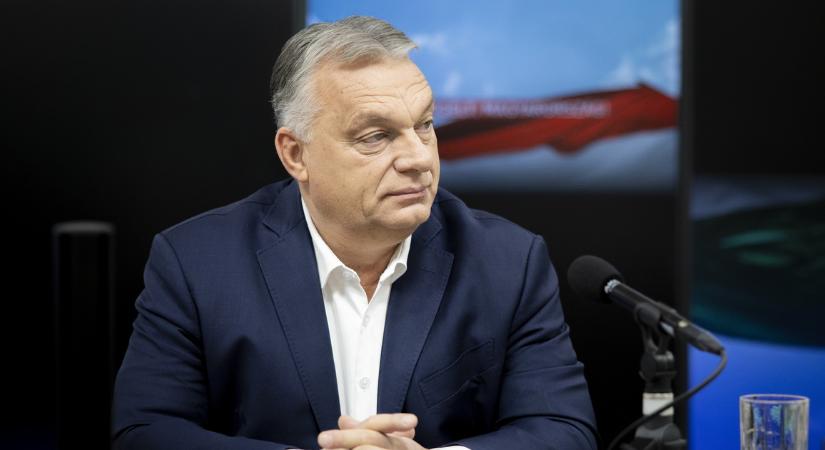 Terápia, diagnózis nélkül