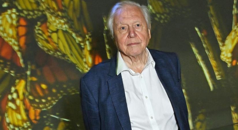 Századik életévébe lépve mondja el legfontosabb üzenetét David Attenborough