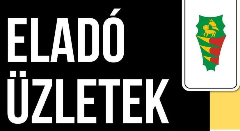 Nyírbátor Város önkormányzatának pályázati felhívása
