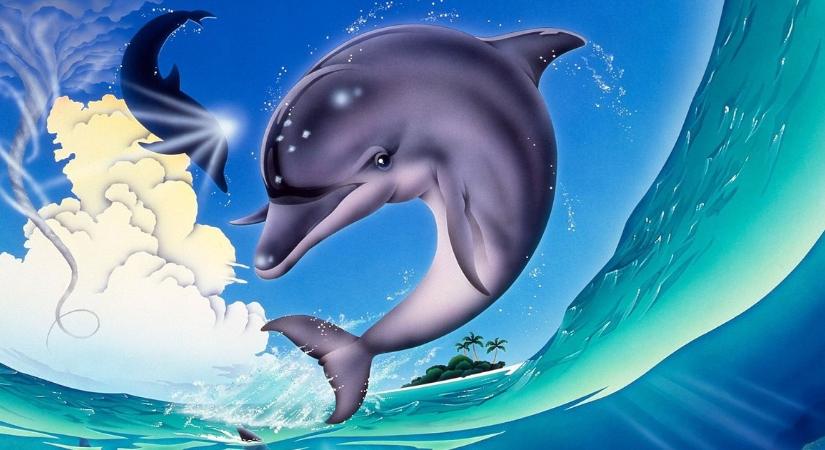 Nem csalás, nem ámítás: ismét vízbe csobban Ecco, a delfin