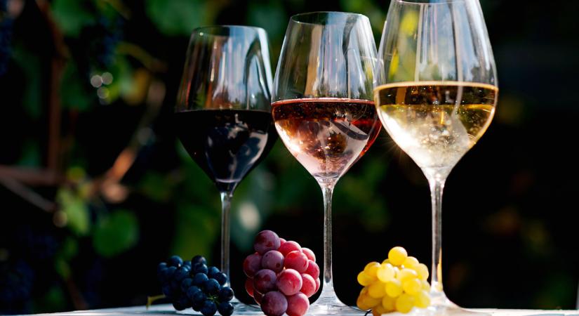 Ilyet még sosem mondott be nyíltan Zacher Gábor: ennyi alkoholt lehet meginni "büntetlenül" hetente