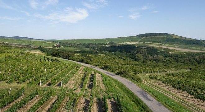 Tízmillió forint összdíjazású pályázatot hirdet Tokaj