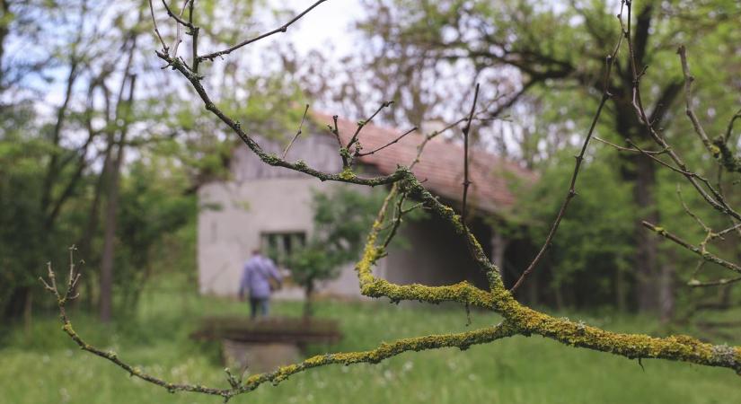 Romos rejtélyek: az ásotthalmi tanyavilág szomorú történetei és titkok a vödör mélyén – galériával, videóval