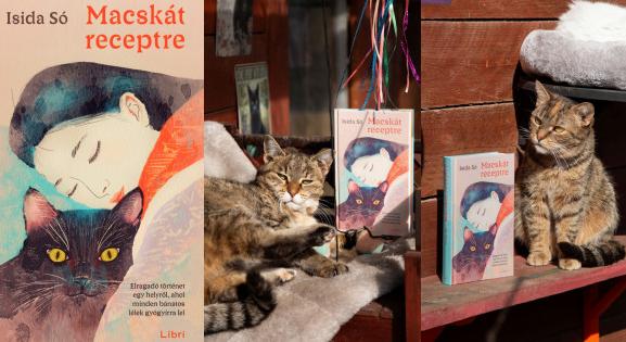„A legtöbb gondra gyógyír a macska” – A könyv, ami után haza akarsz vinni egy cicát