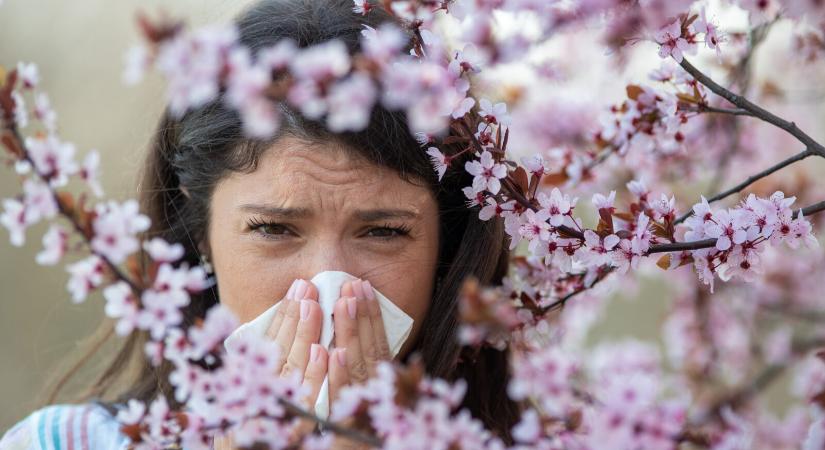 Tavaszi allergia: mi okoz most panaszokat és hogyan védekezhetsz a kínzó tünetek ellen?