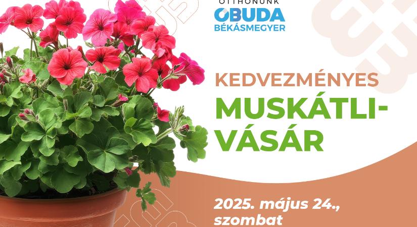 Idén is gyönyörű virágokkal várjuk Önöket – Kedvezményes muskátlivásár május 24-én
