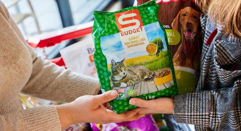 Országos összefogásra hív a SPAR – indul az állateledel-gyűjtés a rászoruló négylábúaknak
