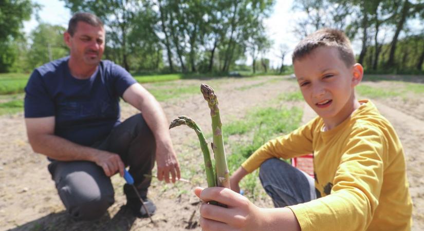 Önkéntesek tartják életben Öttömös kedvenc fesztiválját
