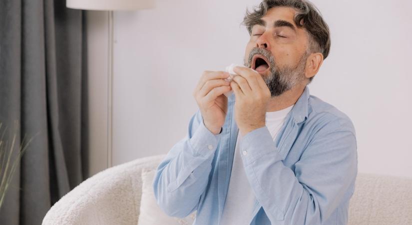 Ezekkel az egyszerű trükkökkel kevesebb pollen kerül a lakásunkba