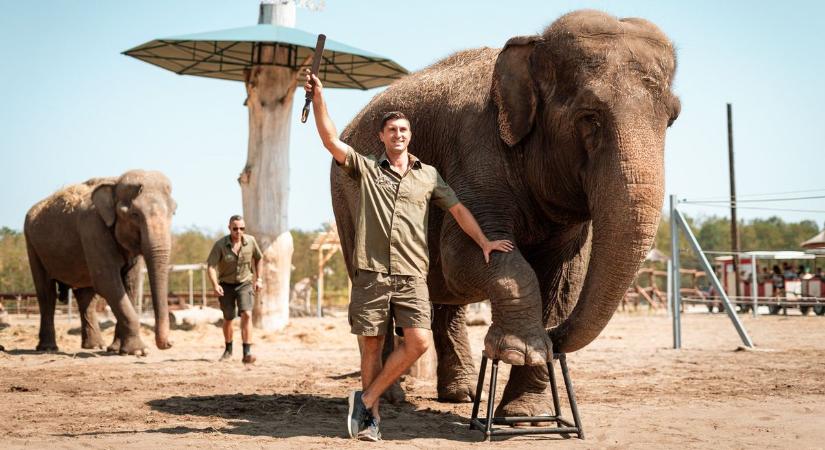 Teljesült a gyerekkori álma: sikerült létrehoznia az autós szafari parkot