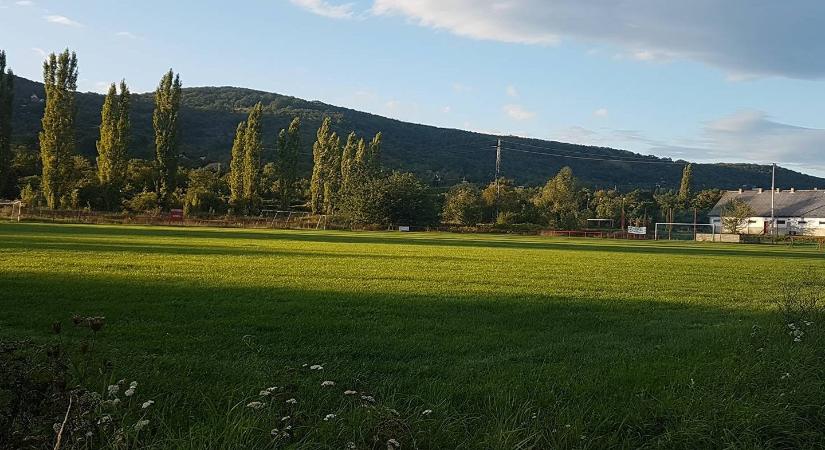 Totális sokk a magyar meccsen: Egy ittas szurkoló leütötte a bírót, félbeszakadt a találkozó