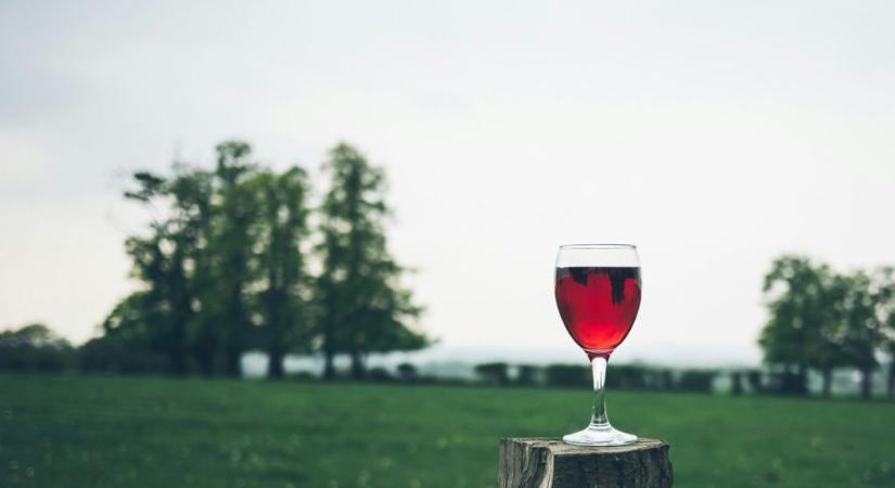 Ezért ne igyál alkoholt a diétád alatt