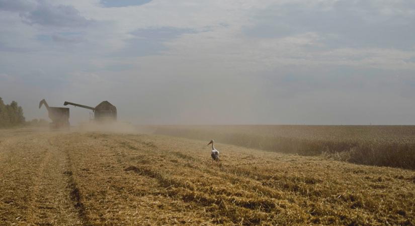 Szlovák agrárkamara: Ukrajna EU-csatlakozása komoly kihívás elé állíthatja a hazai termelőket