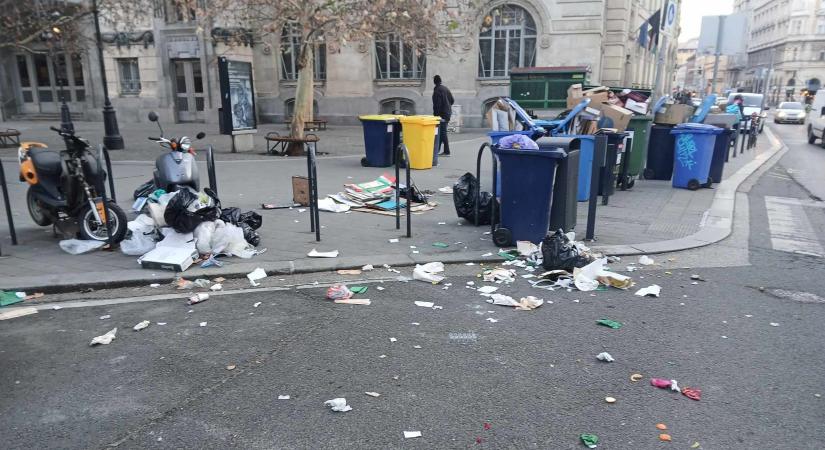 Elindult a terézvárosi kukakommandó: rengeteg palackot és illegális szemetet szedtek össze